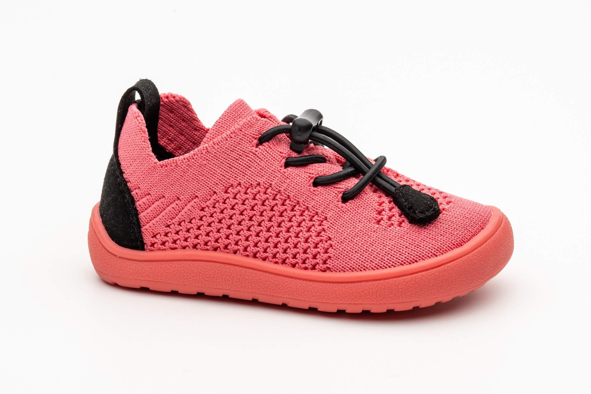 Protetika Gael Koral